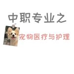 宜宾中职升学学校：学宠物养护与经营专业难不难？就业工资高吗？